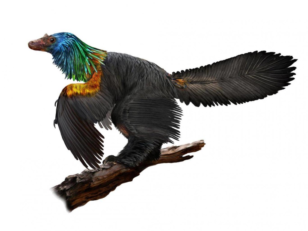 caihong dinosaur